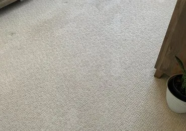 Living room carpet after hot-water extraction