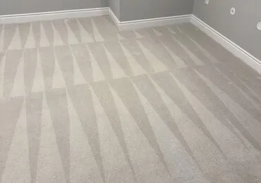 Hallway carpet cleaned to the baseboards