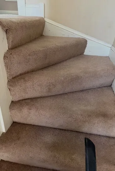 Stair carpet cleaned tread by tread