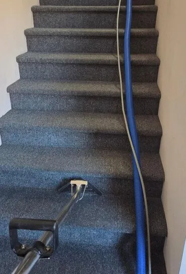 Stair carpet being cleaned by hand