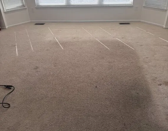 Carpet with heavy traffic-lane soiling, photographed before cleaning