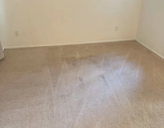 Carpet groomed and dry after hot-water extraction