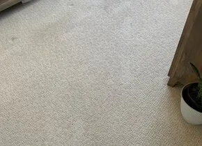 Carpet Cleaning in Goose Creek, SC