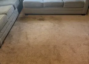 Upholstery Cleaning in Goose Creek, SC