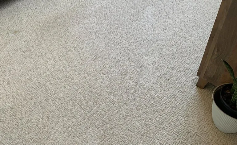 Carpet Cleaning in Goose Creek, SC