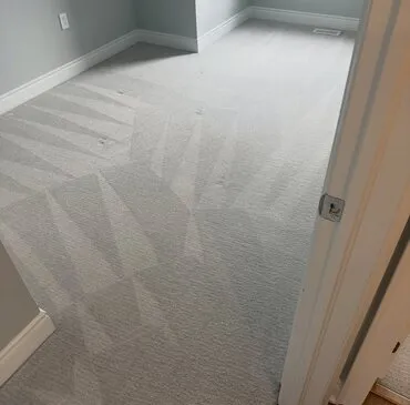Commercial Carpet Cleaning job in progress