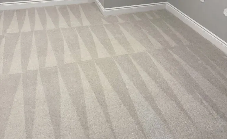 Commercial Carpet Cleaning in Goose Creek, SC