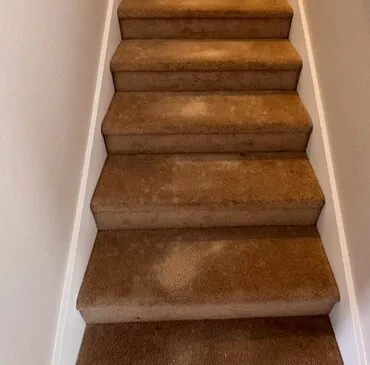 Result of a stair & hallway cleaning job